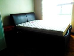 Oleander Towers (D12), Apartment #568898771